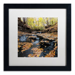Trademark Fine Art KS0140-B1616MF "Lakeview Autumn Falls" by Kurt Shaffer 16" x 16" FRM Art, WHT MTD