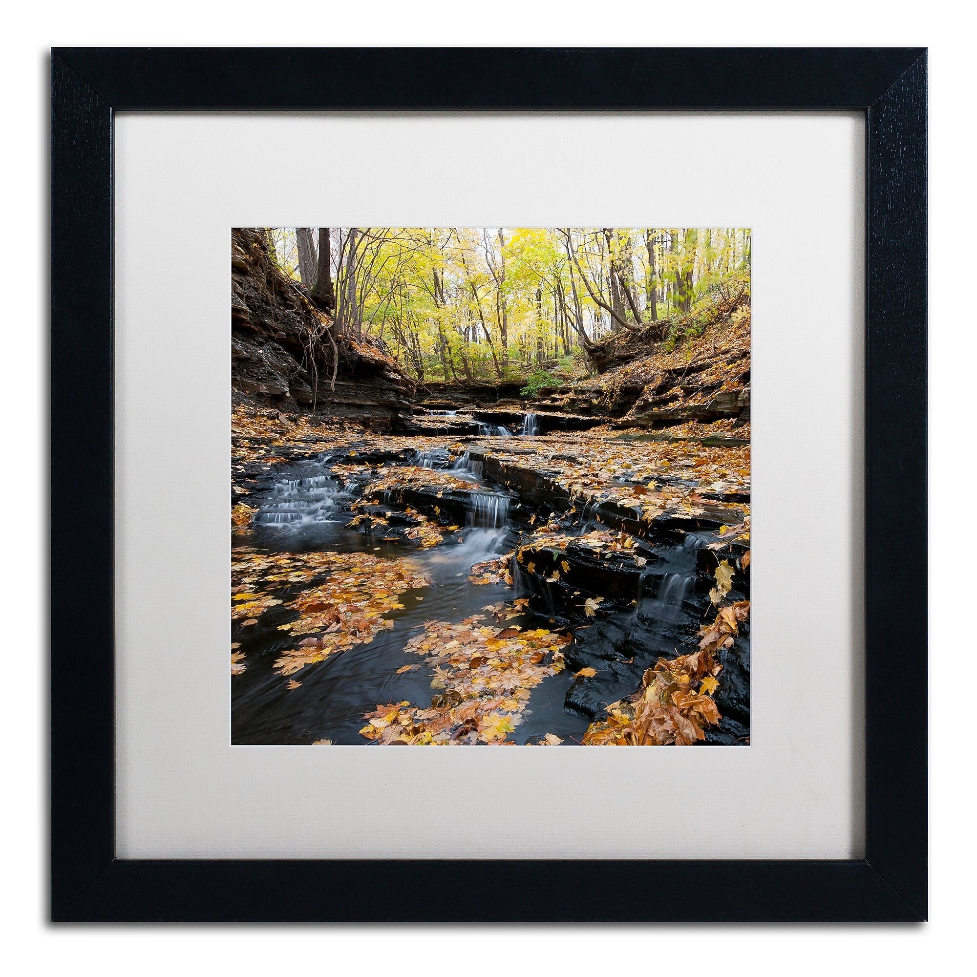 Trademark Fine Art KS0140-B1616MF "Lakeview Autumn Falls" by Kurt Shaffer 16" x 16" FRM Art, WHT MTD