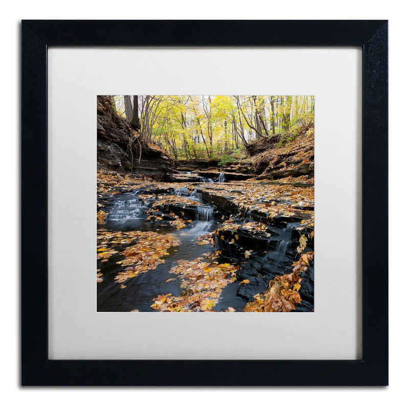 Trademark Fine Art KS0140-B1616MF "Lakeview Autumn Falls" by Kurt Shaffer 16" x 16" FRM Art, WHT MTD