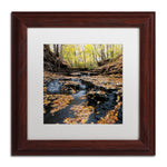 Trademark Fine Art KS0140-W1111MF "Lakeview Autumn Falls" by Kurt Shaffer 11" x 11" FRM Art, WHT MTD