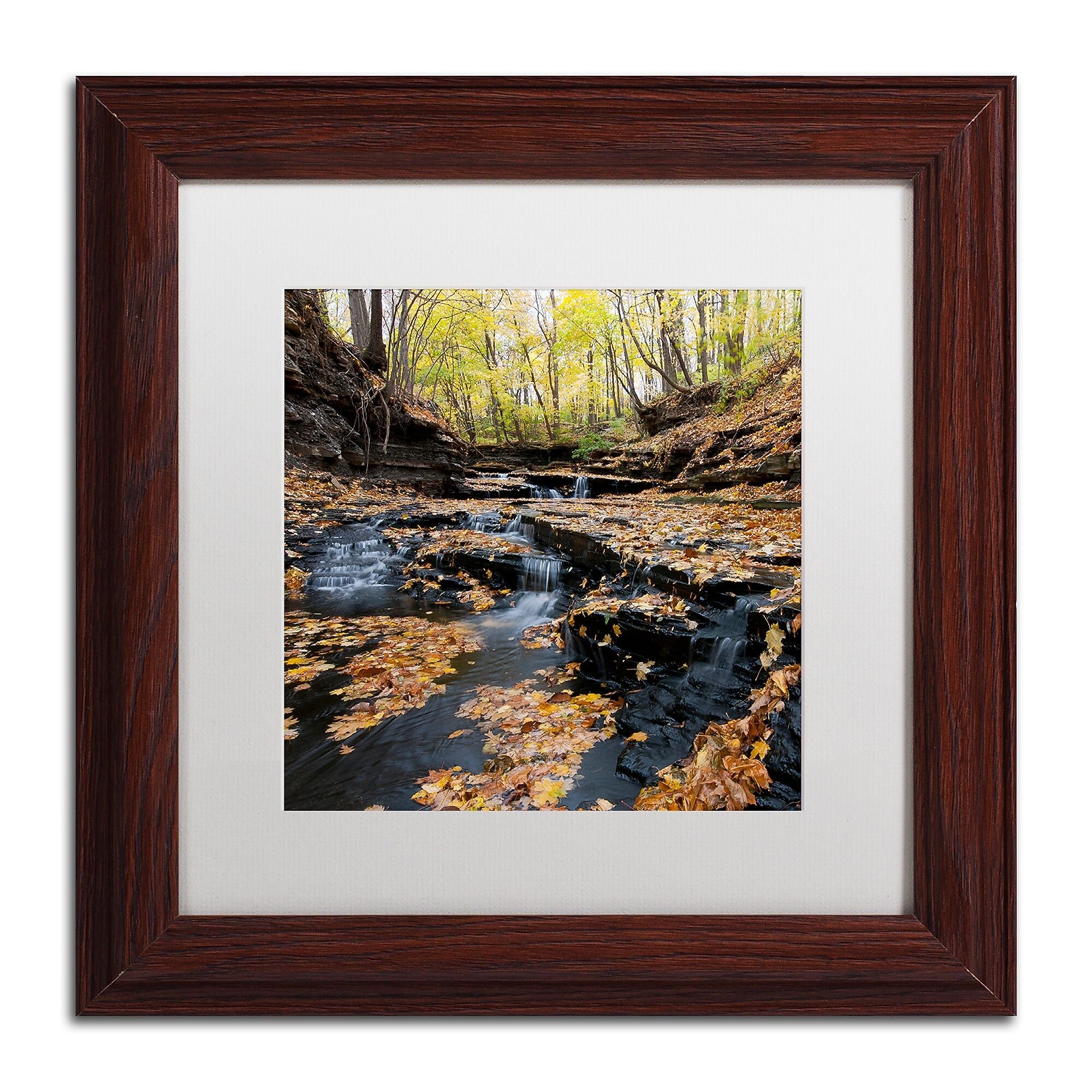 Trademark Fine Art KS0140-W1111MF "Lakeview Autumn Falls" by Kurt Shaffer 11" x 11" FRM Art, WHT MTD