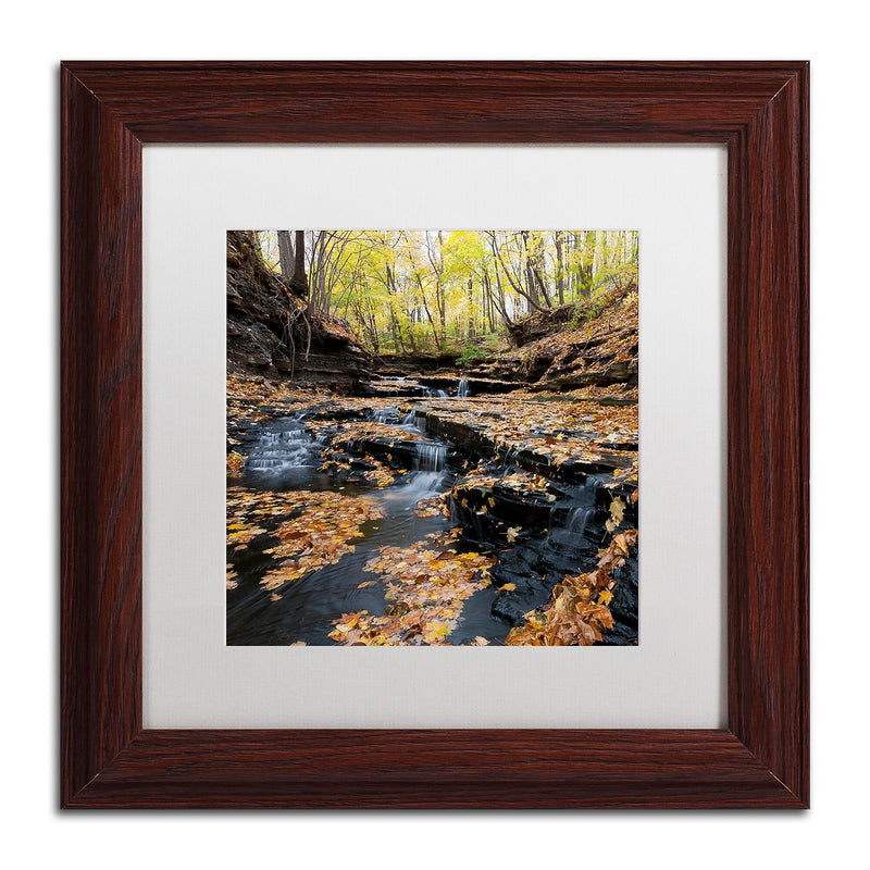 Trademark Fine Art KS0140-W1111MF "Lakeview Autumn Falls" by Kurt Shaffer 11" x 11" FRM Art, WHT MTD