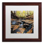 Trademark Fine Art KS0140-W1616MF "Lakeview Autumn Falls" by Kurt Shaffer 16" x 16" FRM Art, WHT MTD