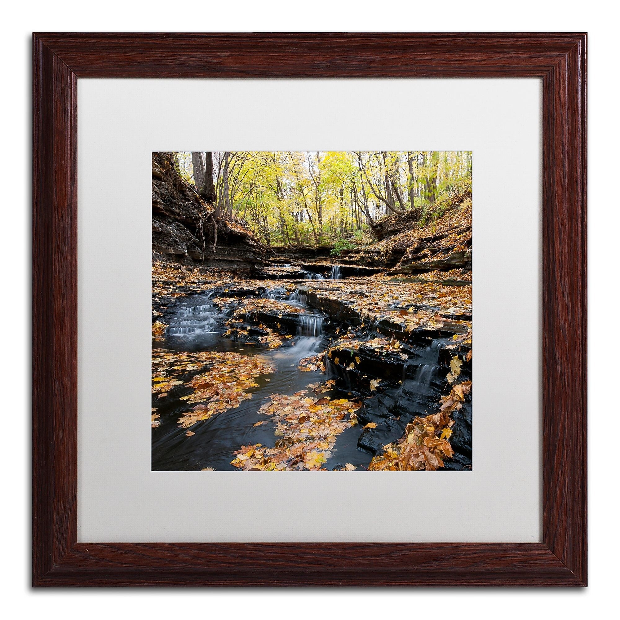 Trademark Fine Art KS0140-W1616MF "Lakeview Autumn Falls" by Kurt Shaffer 16" x 16" FRM Art, WHT MTD