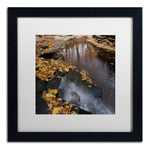 Trademark Fine Art Lakeview Autumn Waterfall #2 by Kurt Shaffer 16x16 FRM Art, WHT MTD (KS0141-B1616MF)