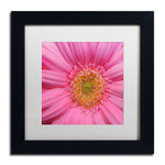 Trademark Fine Art KS0158-B1111MF "Pink" by Kurt Shaffer 11" x 11" Framed Art, White Matted