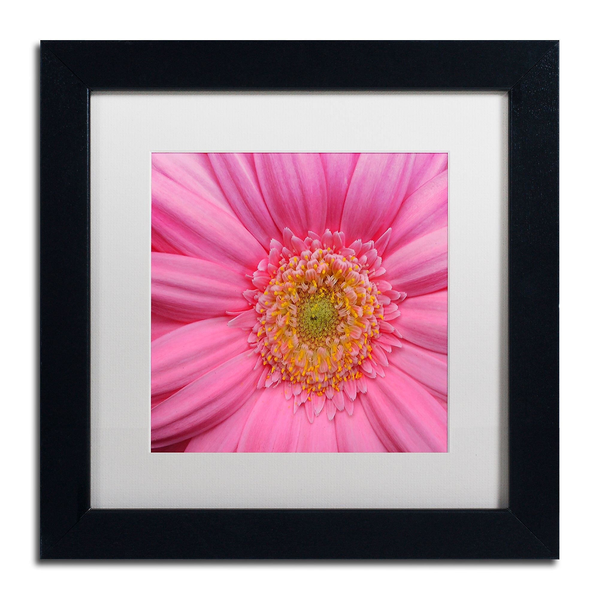Trademark Fine Art KS0158-B1111MF "Pink" by Kurt Shaffer 11" x 11" Framed Art, White Matted
