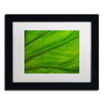 Trademark Fine Art KS0162-B1114MF Green Elephant Ear Abstract by Kurt Shaffer 11x14 FRM Art, WHT MTD