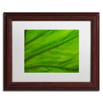 Trademark Fine Art KS0162-W1114MF Green Elephant Ear Abstract by Kurt Shaffer 11x14 FRM Art, WHT MTD