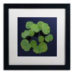 Trademark Fine Art KS0175-B1616MF Giant Lily Pad Abstract by Kurt Shaffer 16x16 FRM Art, WHT MTD