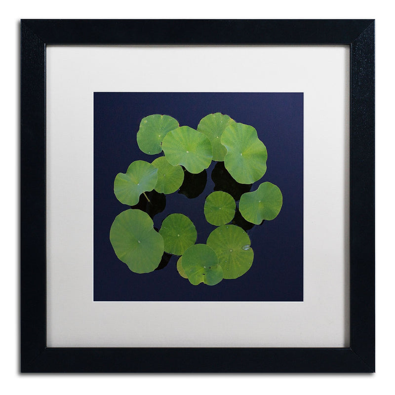 Trademark Fine Art KS0175-B1616MF Giant Lily Pad Abstract by Kurt Shaffer 16x16 FRM Art, WHT MTD