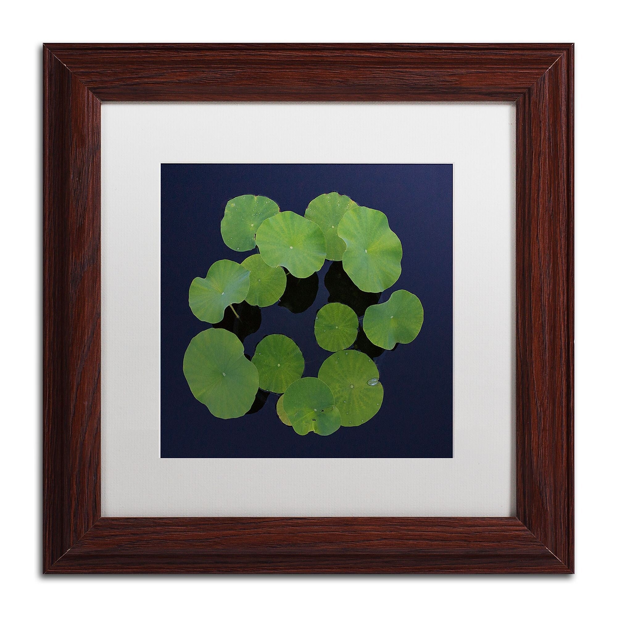 Trademark Fine Art KS0175-W1111MF Giant Lily Pad Abstract by Kurt Shaffer 11x11 FRM Art, WHT MTD