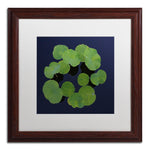 Trademark Fine Art KS0175-W1616MF Giant Lily Pad Abstract by Kurt Shaffer 16x16 FRM Art, WHT MTD