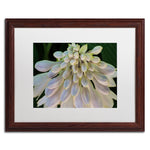 Trademark Fine Art KS0178-W1620MF "Hosta Flower Abstract" by Kurt Shaffer 16" x 20" FRM Art, WHT MTD