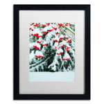 Trademark Fine Art KS0189-B1620MF inter Berries and Pine by Kurt Shaffer 20x16 FRM Art, WHT MTD