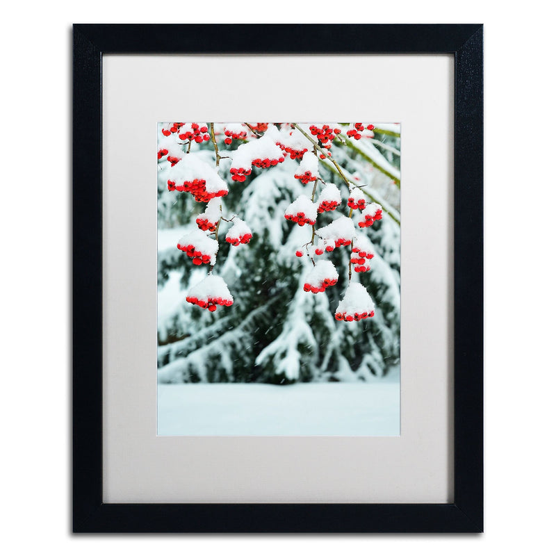 Trademark Fine Art KS0189-B1620MF inter Berries and Pine by Kurt Shaffer 20x16 FRM Art, WHT MTD