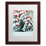 Trademark Fine Art KS0189-W1620MF inter Berries and Pine by Kurt Shaffer 20x16 FRM Art, WHT MTD