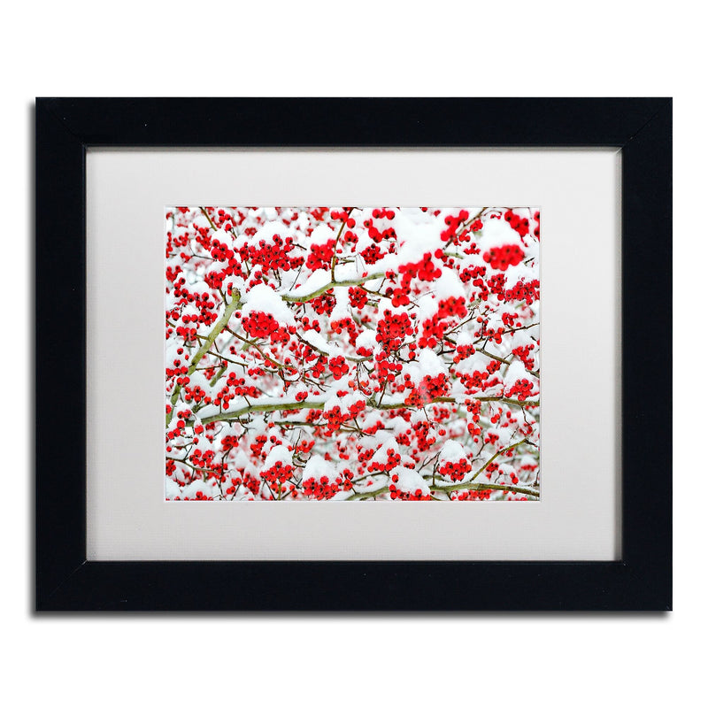 Trademark Fine Art KS0190-B1114MF inter Berries in the Snow by Kurt Shaffer 11x14 FRM Art, WHT MTD