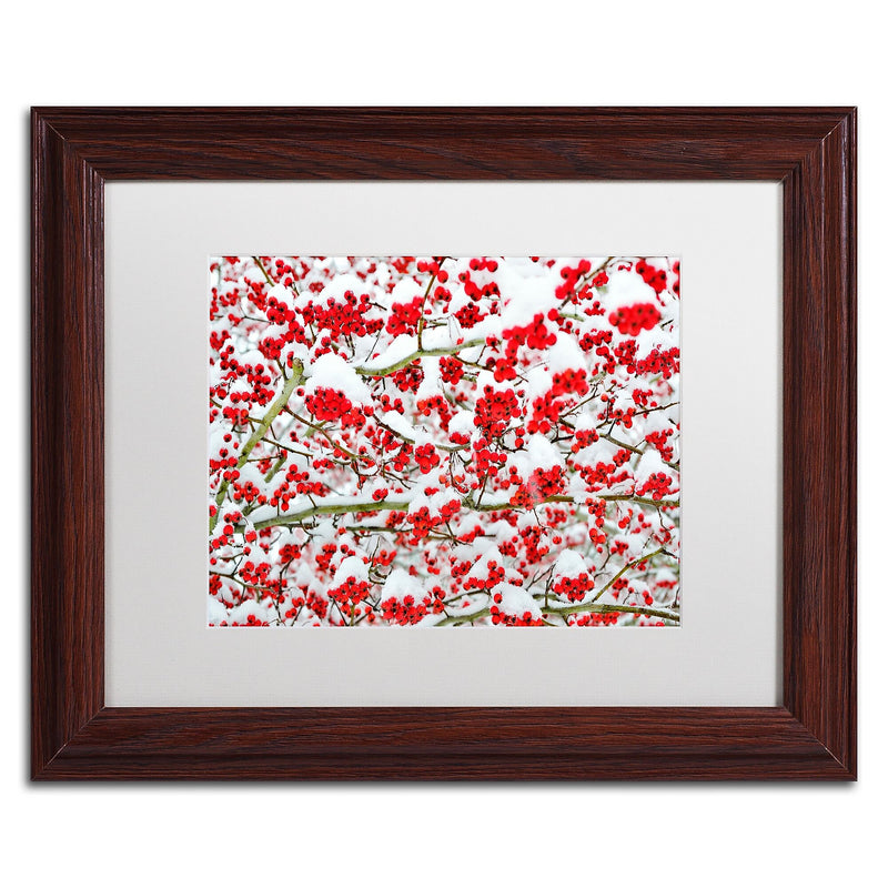 Trademark Fine Art KS0190-W1114MF inter Berries in the Snow by Kurt Shaffer 11x14 FRM Art, WHT MTD
