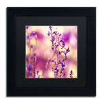 Trademark Fine Art BC0145-B1111BMF Summer Melodies by Beata Czyzowska Young 11x11 FRM Art, BLK MTD