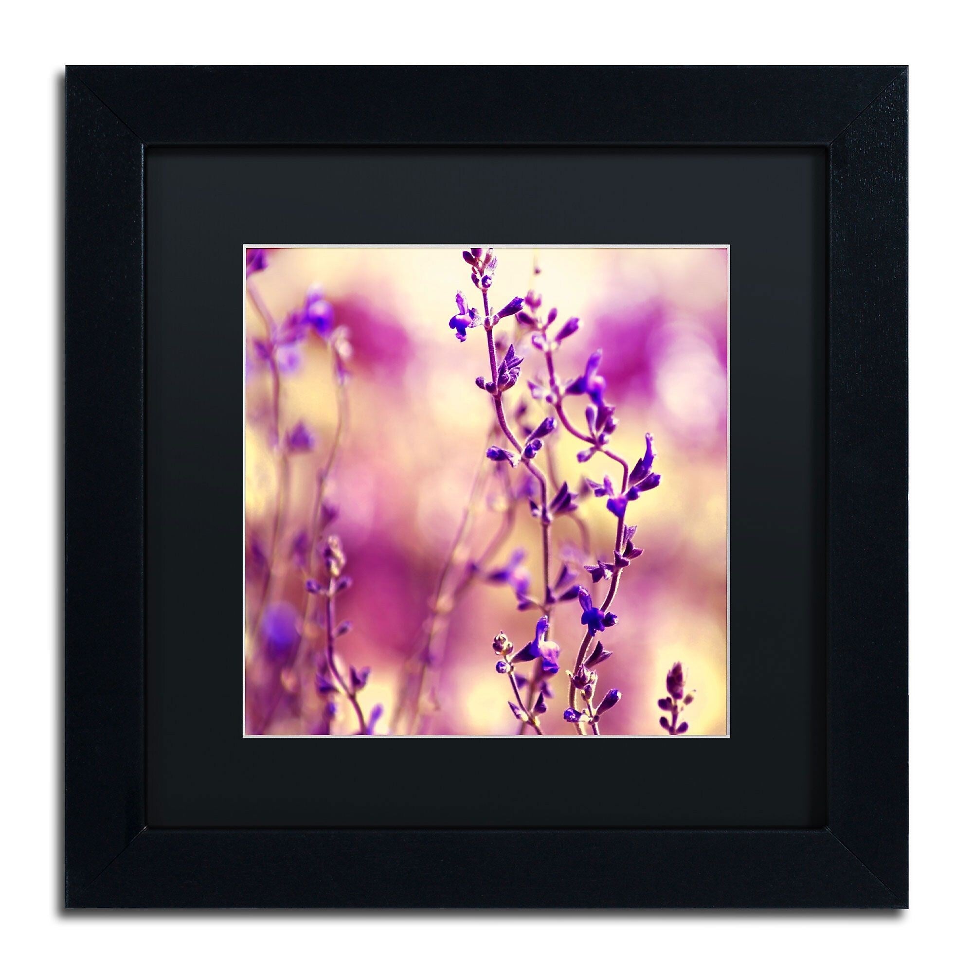 Trademark Fine Art BC0145-B1111BMF Summer Melodies by Beata Czyzowska Young 11x11 FRM Art, BLK MTD
