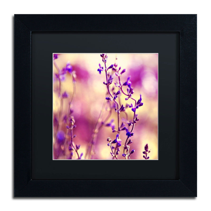 Trademark Fine Art BC0145-B1111BMF Summer Melodies by Beata Czyzowska Young 11x11 FRM Art, BLK MTD