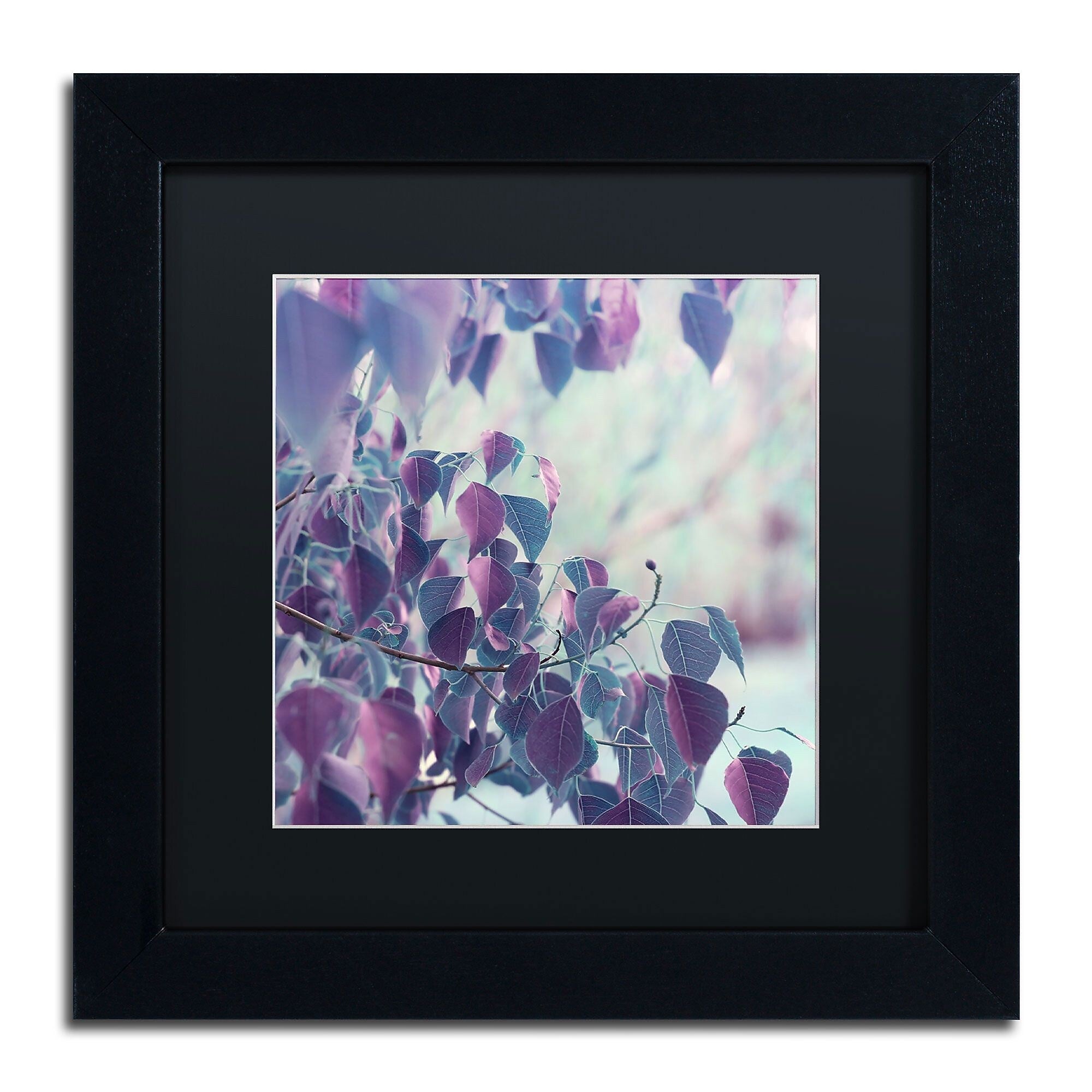 Trademark Fine Art BC0146-B1111BMF Summer Thoughts by Beata Czyzowska Young 11x11 FRM Art, BLK MTD