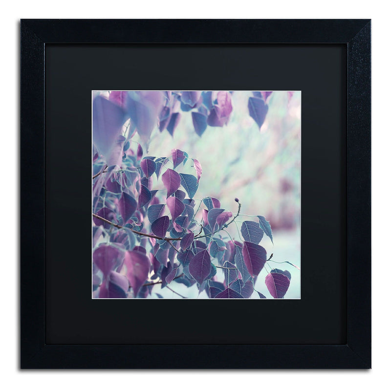 Trademark Fine Art BC0146-B1616BMF Summer Thoughts by Beata Czyzowska Young 16x16 FRM Art, BLK MTD
