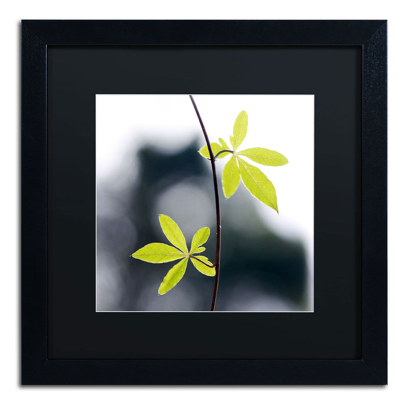Trademark Fine Art BC0153-B1616BMF "Two of Us" by Beata Czyzowska Young 16" x 16" FRM Art, BLK MTD