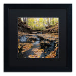 Trademark Fine Art KS0140-B1616BMF Lakeview Autumn Falls by Kurt Shaffer 16x16 FRM Art, BLK MTD