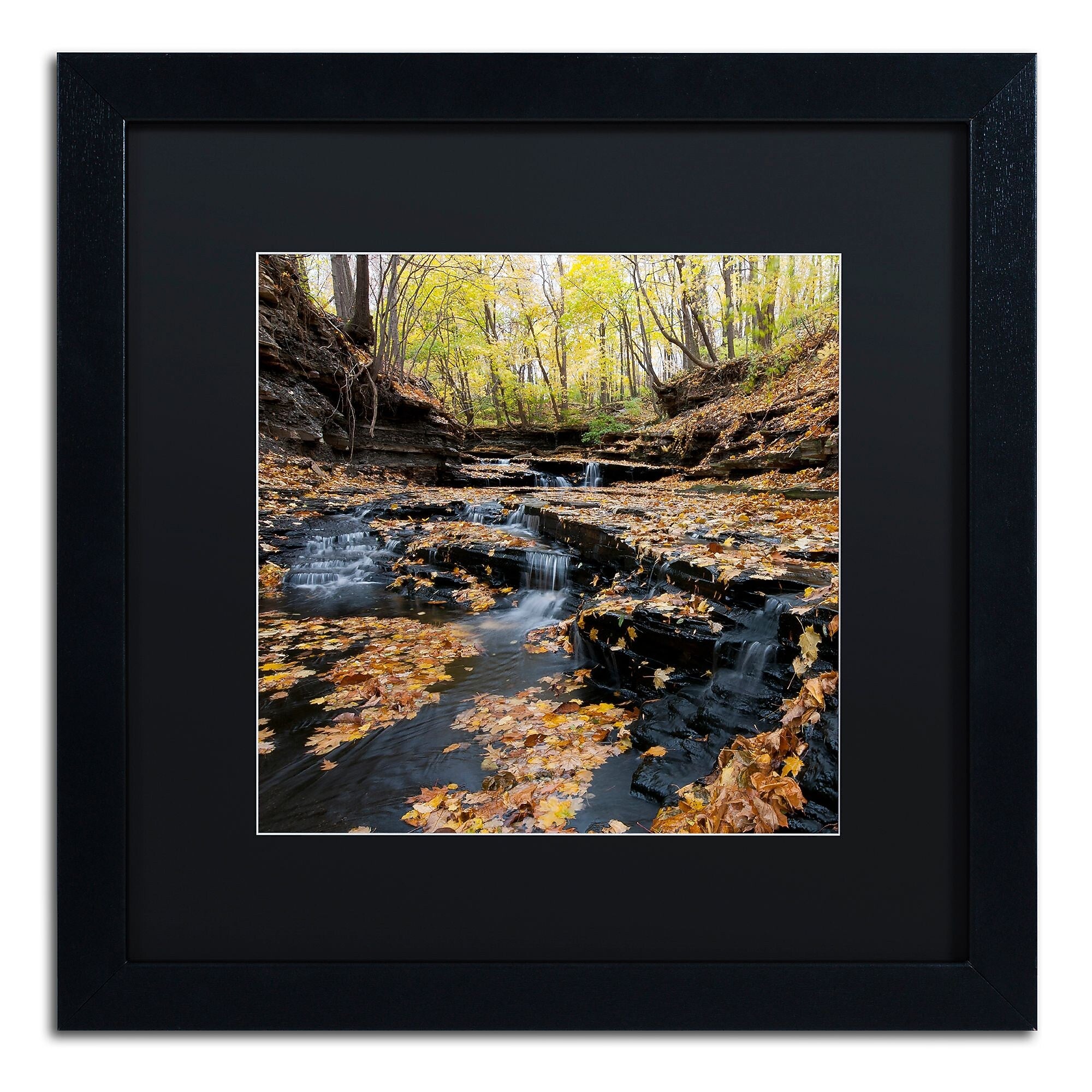 Trademark Fine Art KS0140-B1616BMF Lakeview Autumn Falls by Kurt Shaffer 16x16 FRM Art, BLK MTD