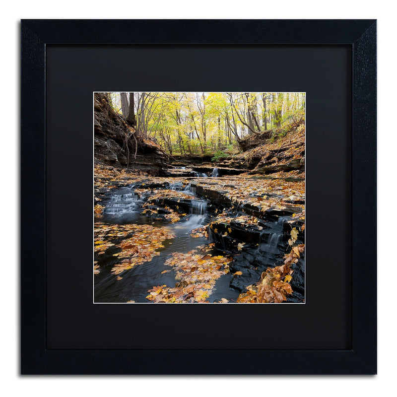 Trademark Fine Art KS0140-B1616BMF Lakeview Autumn Falls by Kurt Shaffer 16x16 FRM Art, BLK MTD
