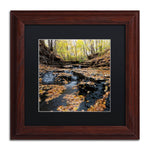 Trademark Fine Art KS0140-W1111BMF Lakeview Autumn Falls by Kurt Shaffer 11x11 FRM Art, BLK MTD