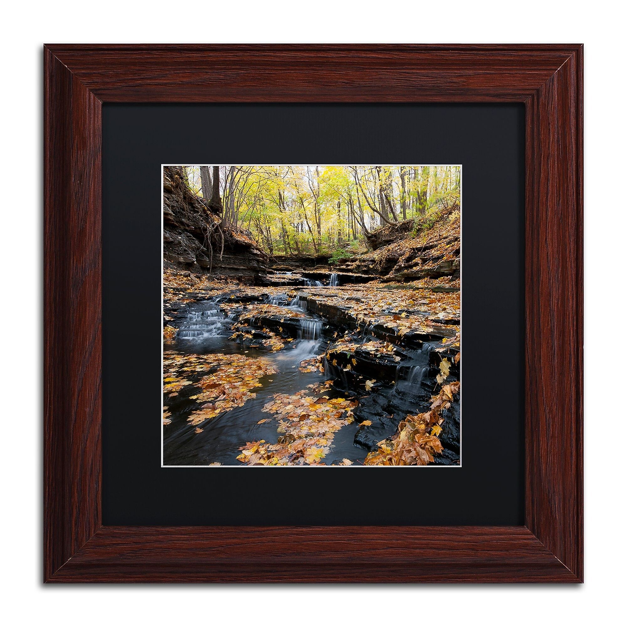 Trademark Fine Art KS0140-W1111BMF Lakeview Autumn Falls by Kurt Shaffer 11x11 FRM Art, BLK MTD
