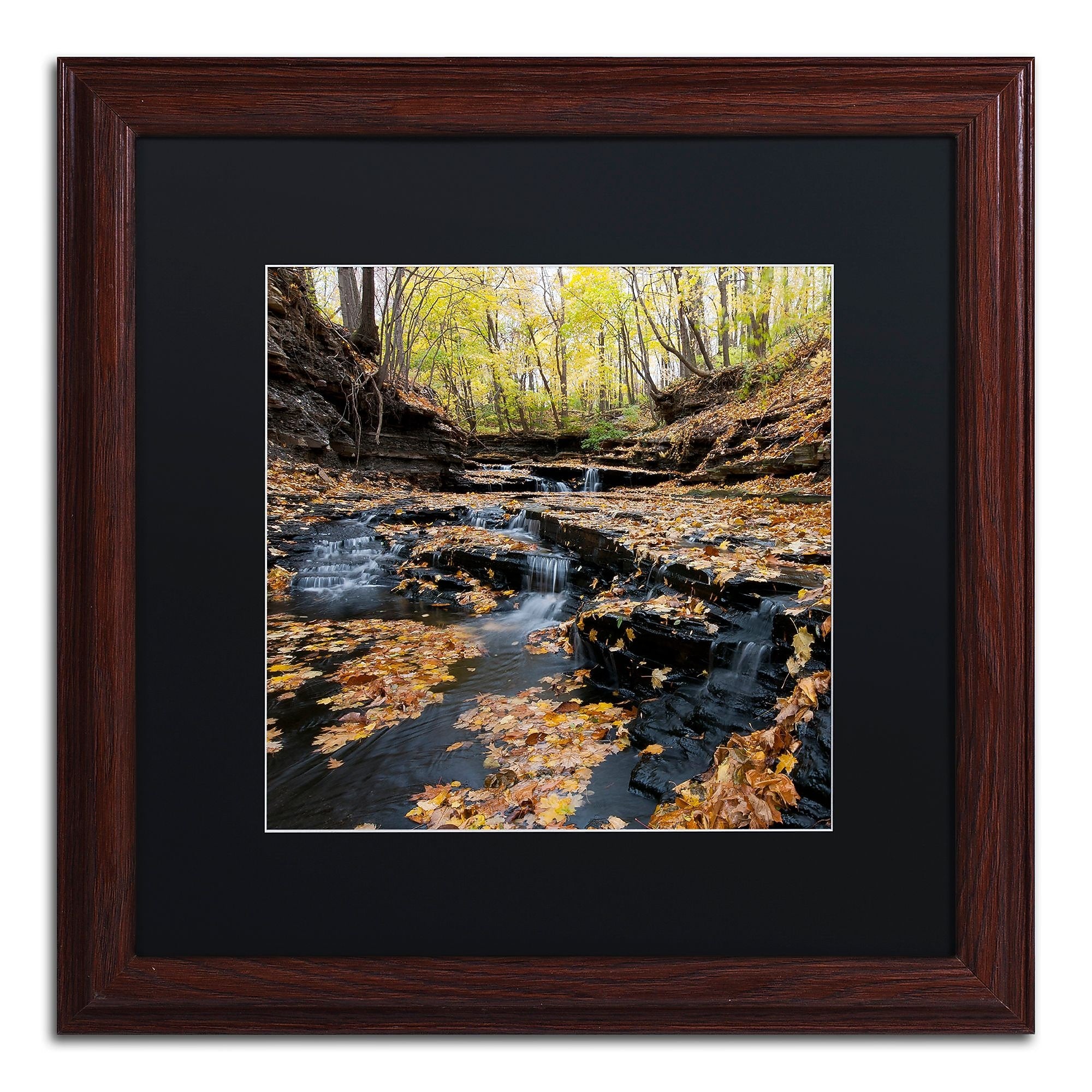 Trademark Fine Art KS0140-W1616BMF Lakeview Autumn Falls by Kurt Shaffer 16x16 FRM Art, BLK MTD