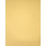 LUX 105 lb. Cardstock Paper, 8.5" x 11", Gold Metallic, 1000 Sheets/Pack (81211-C-40-1000)