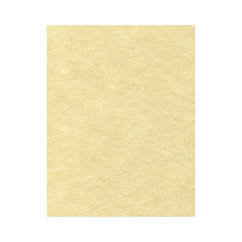 LUX 65 lb. Cardstock Paper, 8.5" x 11", Gold Parchment, 50 Sheets/Pack (81211-C-41-50)