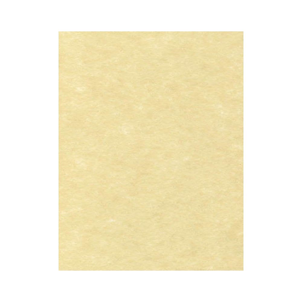 LUX Parchment 65 lb. Cardstock Paper, 8.5" x 11", Gold Parchment, 1000 Sheets/Pack (81211-C-41-1000)