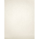 LUX 105 lb. Cardstock Paper, 13" x 19", Quartz Metallic, 500 Sheets/Pack (1319-C-M08-500)
