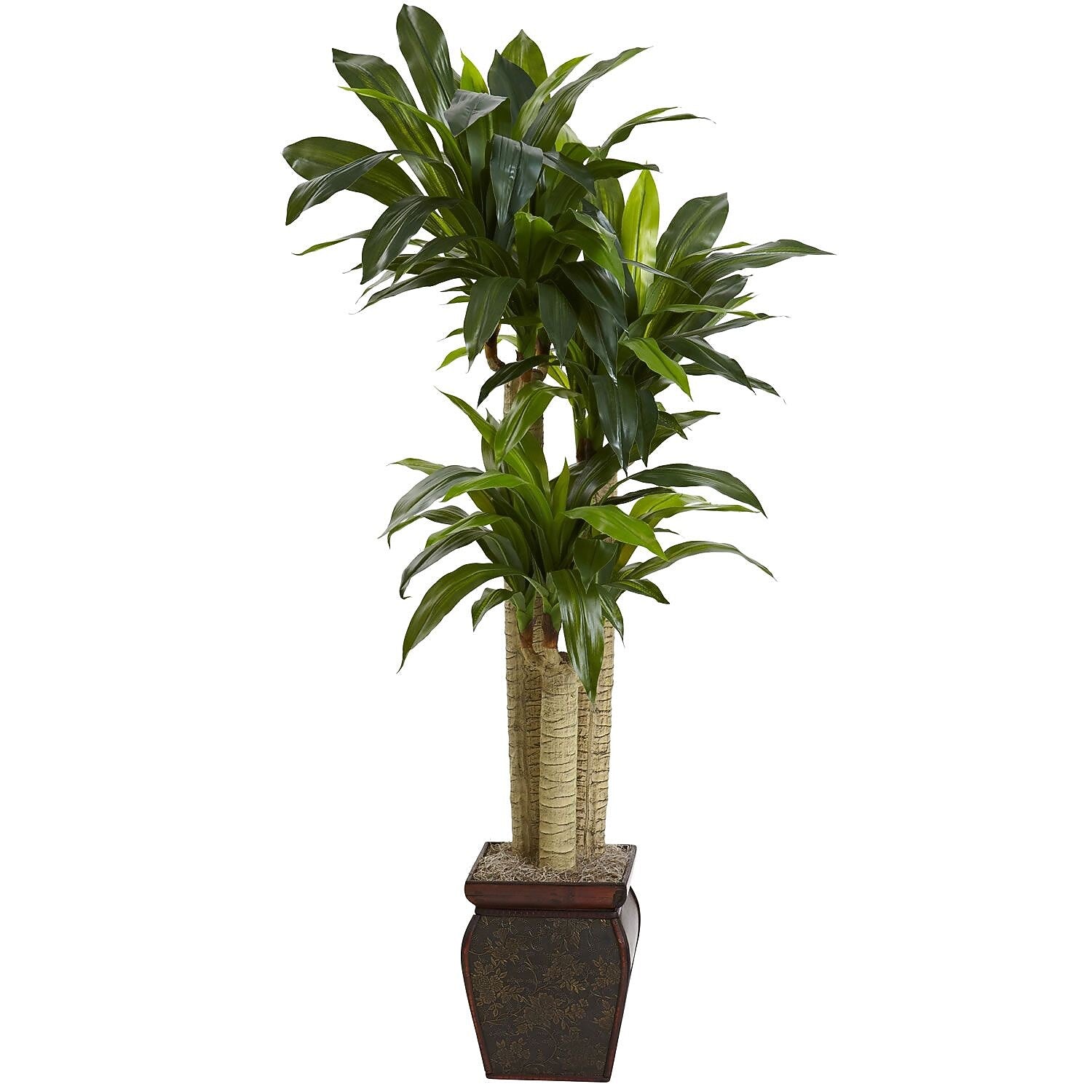 Nearly Natural 6670 Cornstalk Draceana with Vase 4.5-Feet Green