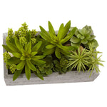 Nearly Natural 4841 Succulent Garden with Concrete Planter 6.5 x 12.8 inch