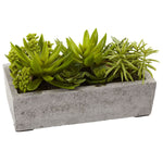 Nearly Natural 4841 Succulent Garden with Concrete Planter 6.5 x 12.8 inch