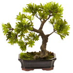 Nearly Natural 4848 Podocarpus Bonsai with Moss Planter 14 x 14 inch, Green