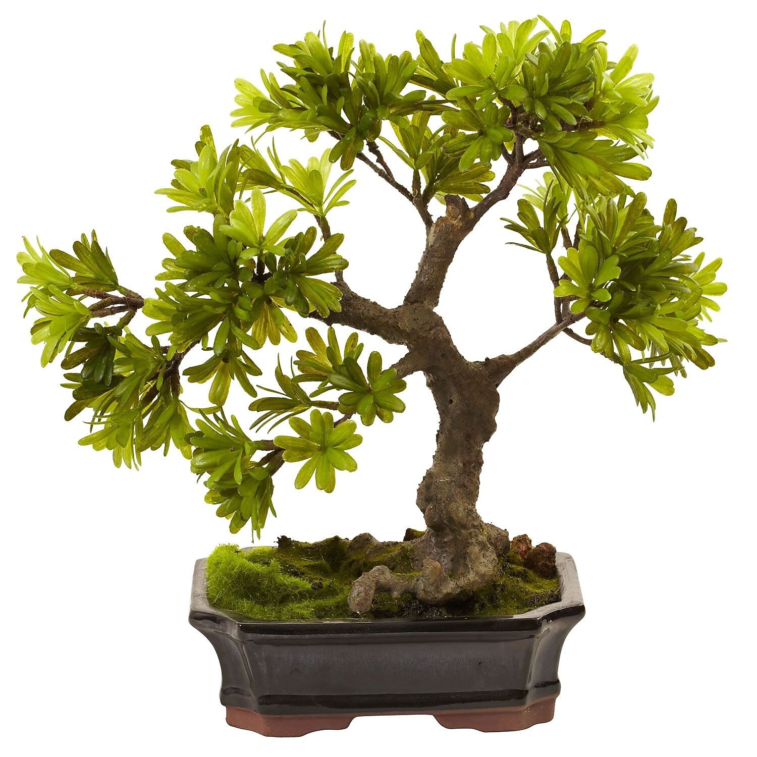 Nearly Natural 4848 Podocarpus Bonsai with Moss Planter 14 x 14 inch, Green