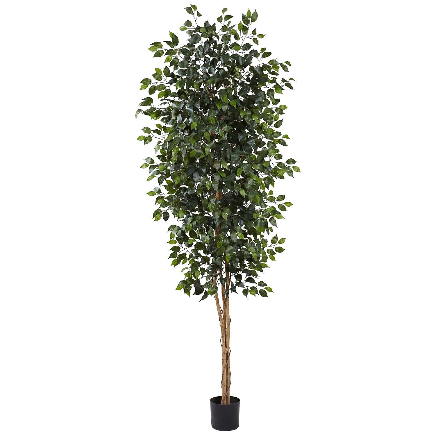 Nearly Natural 5427 Ficus Tree With Leaves 8-Feet Green