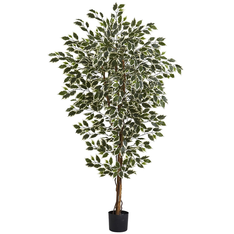 Nearly Natural 5437 Ficus Tree, 72 x 40 inch