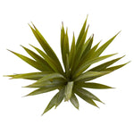 Nearly Natural 6111-S12 Mini Spiky Agave Succulent Plant 6 x 5.5 inch, Green