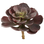 Nearly Natural 6105-BG-S12 Echeveria Succulent Plants 6 x 5 inch, Burgundy