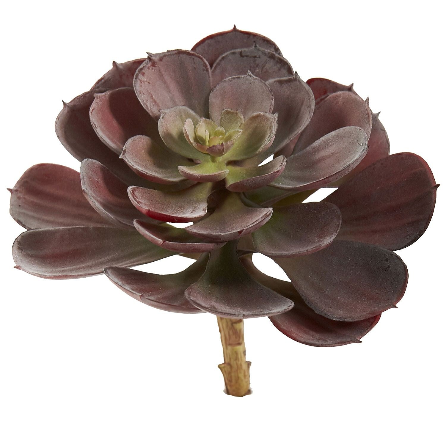 Nearly Natural 6105-BG-S12 Echeveria Succulent Plants 6 x 5 inch, Burgundy