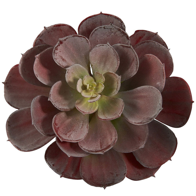 Nearly Natural 6105-BG-S12 Echeveria Succulent Plants 6 x 5 inch, Burgundy